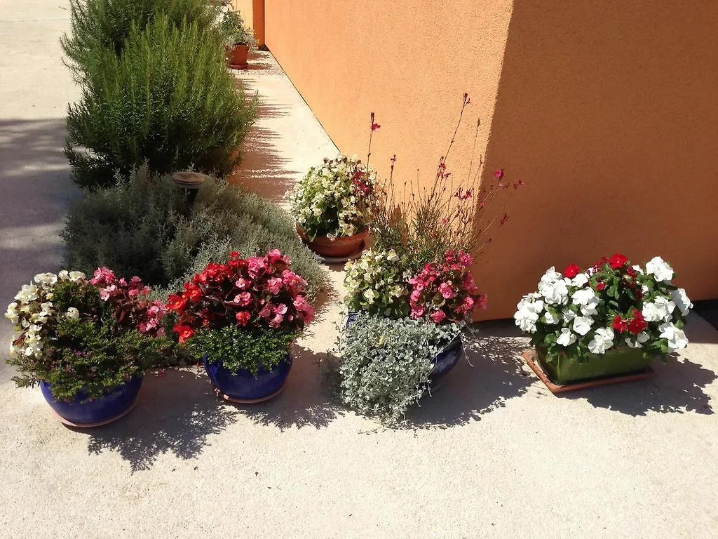 Apartments Dalmatina Zaton  Croatia